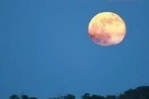 A large, bright moon in a clear blue sky above a silhouetted treeline.