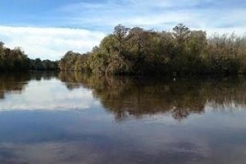a body of water surrounded by trees